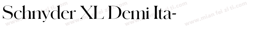 Schnyder XL Demi Ita字体转换